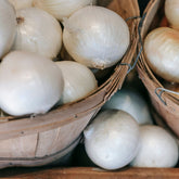 Hectarul - Seminte Ceapa NOORDHOLANDSE Horti Tops 2 g